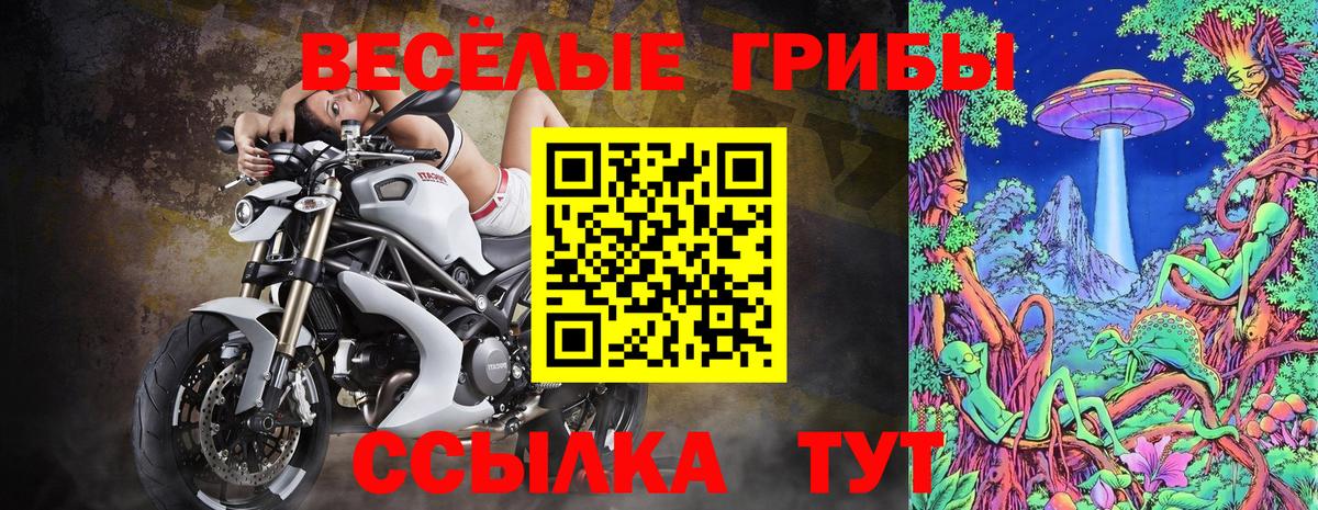 Галлюциногенные грибы Magic Shrooms Дятьково