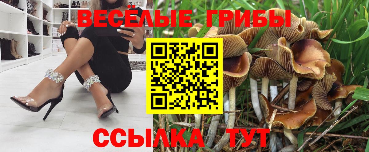 Дятьково  Псилоцибиновые грибы прущие грибы  Вход с VPN 